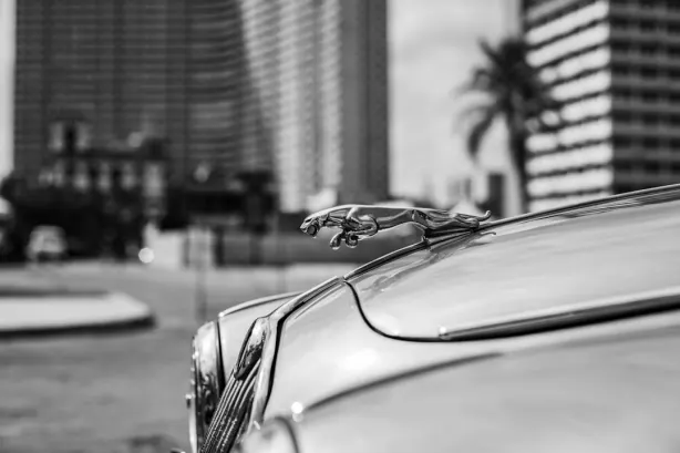 Betobet Kazino Android/iOS programa